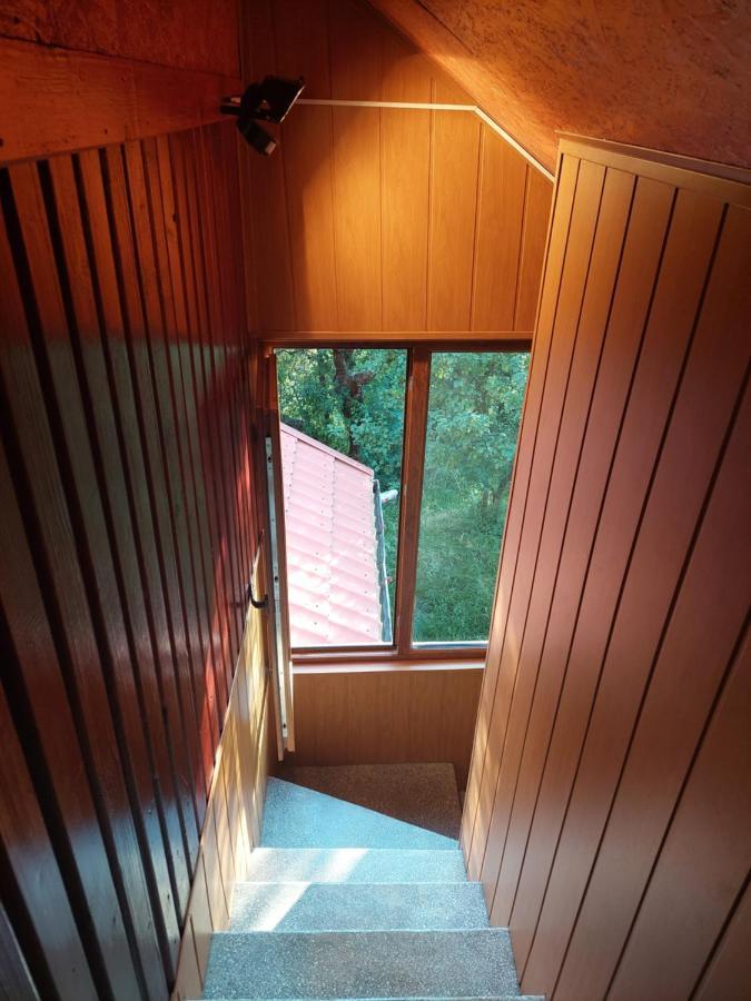 Cabana Cu Teren De Tenis -- Etaj Banita ภายนอก รูปภาพ